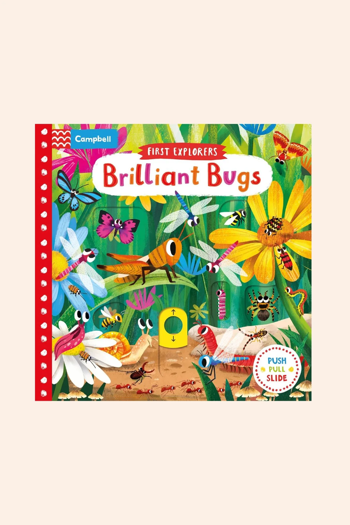 Brilliant Bugs and Minibeasts