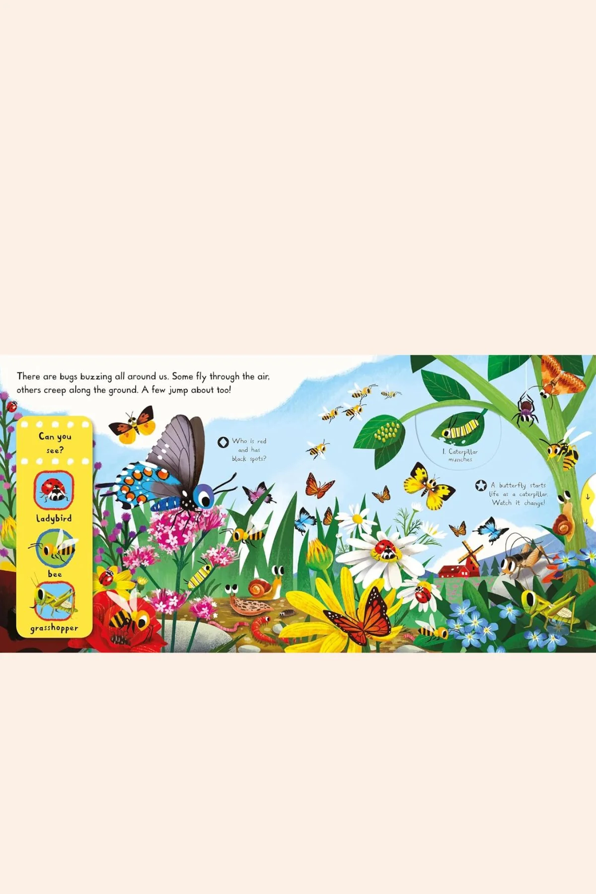 Brilliant Bugs and Minibeasts - Image 2