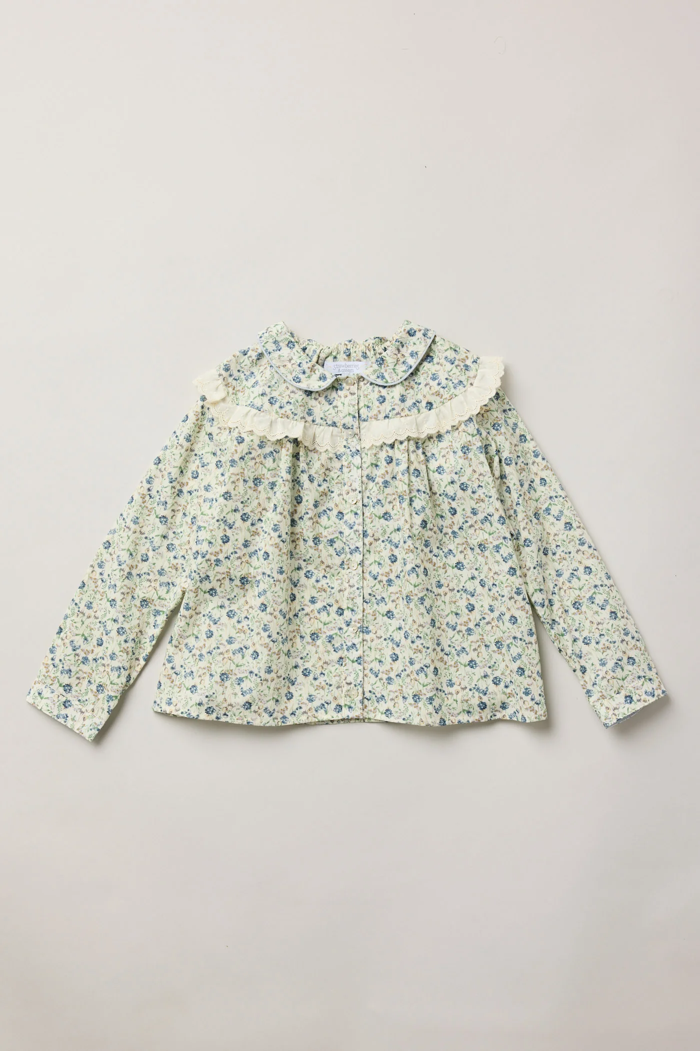 Cranberry Blouse Hydrangea Blooms