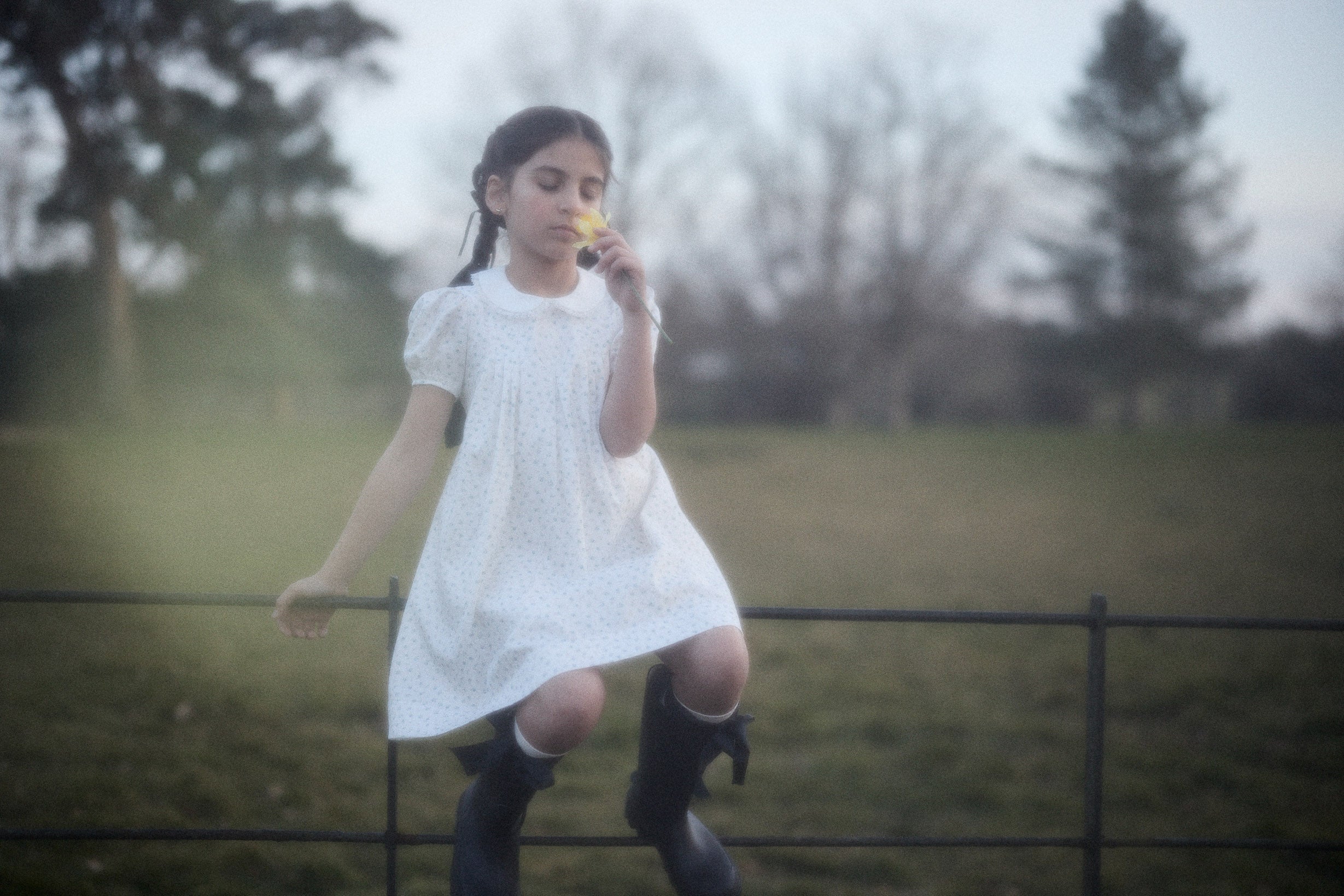 Eloise Dress in Blue Petit Rose - Image 15