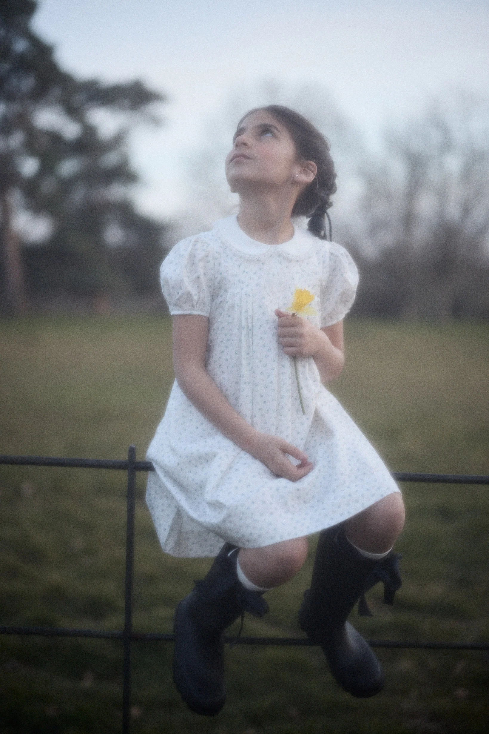 Eloise Dress in Blue Petit Rose - Image 8
