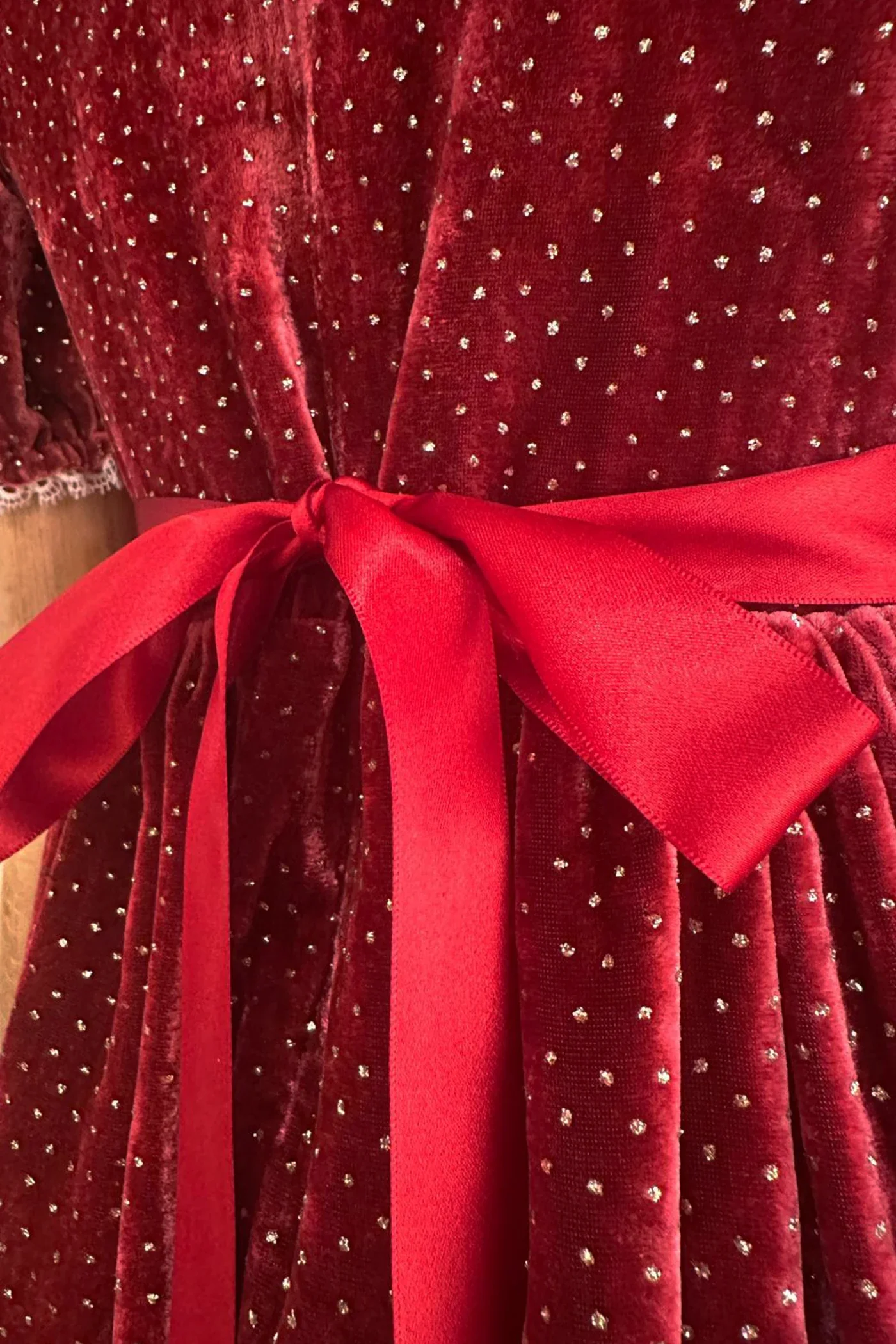 Queen Ginger Dress in Frosted Cranberry Velvet - Image 4